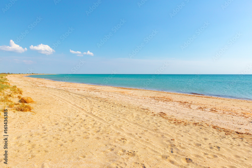 Fototapeta premium Tropical beach