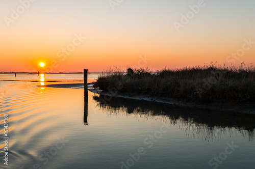 Bild auf Leinwand The  park of the river Po estuary