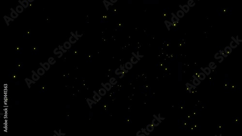 Looping Swarm of Sparse Isolated Fireflies At Night photo