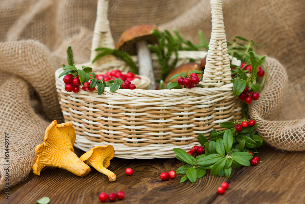 Lingonberries and mushrooms in the basket. A beautiful composition of forest berries and mushrooms.