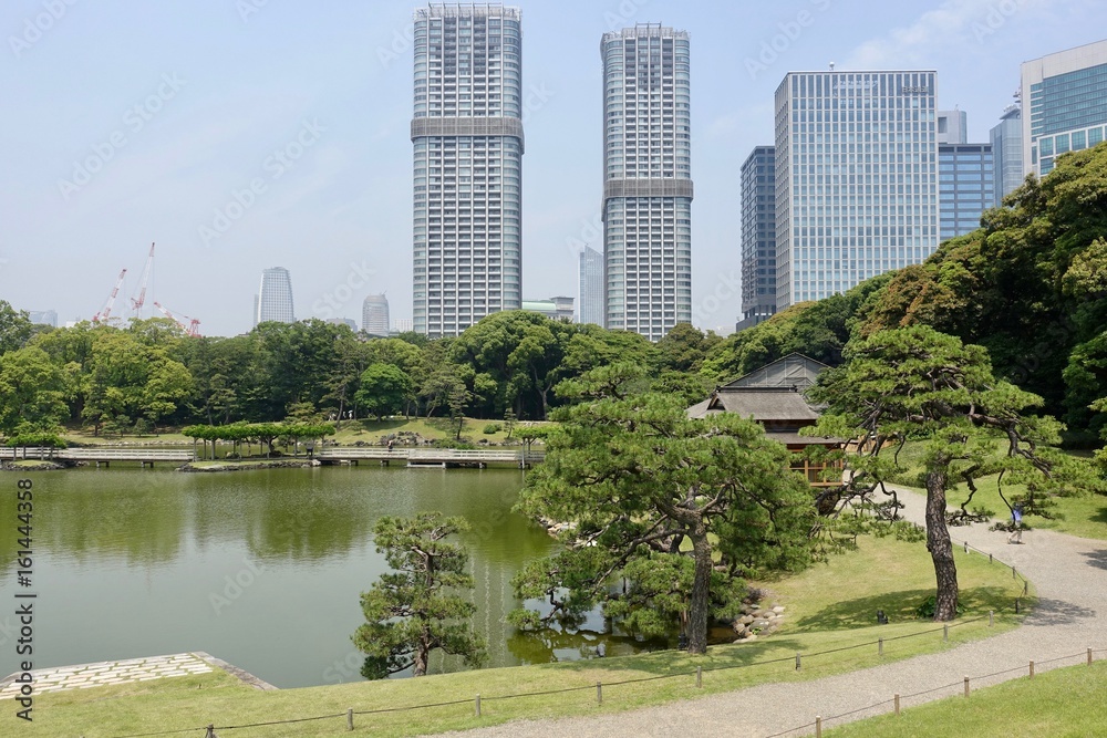 Fototapeta premium 初夏の庭園