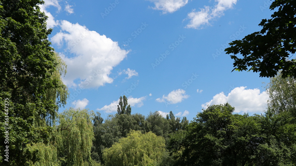 Obraz premium nature