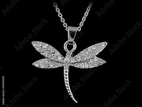 Canvas Print Silver Dragonfly Necklace