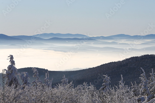 Cold morning in european witer forest  hills and villages in the fog and rime  misty view on czech landscape  blue winter scene  cesky les  behemian forest  Czech Republic. Morning landscape with rime
