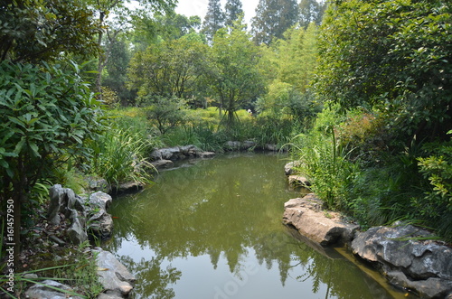 Photography Green