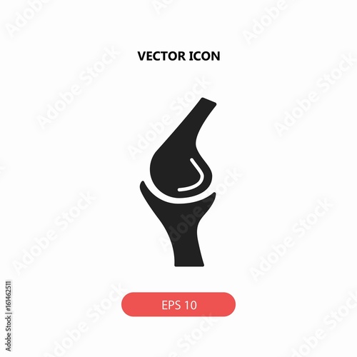 kneecap vector icon