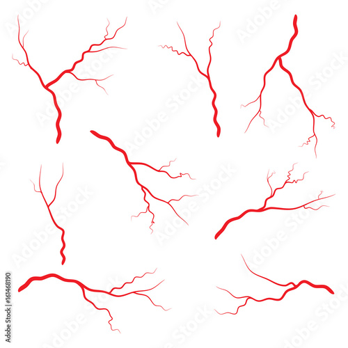 Human vein, vessel set vector symbol icon design.