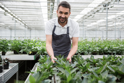 Handsome smiling young bearded man standing in greenhouse