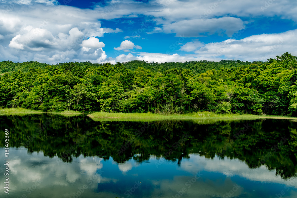 Mountain trees and green lake