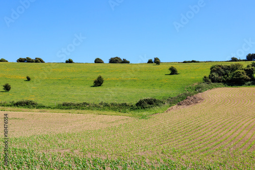 Farmland Landscape
