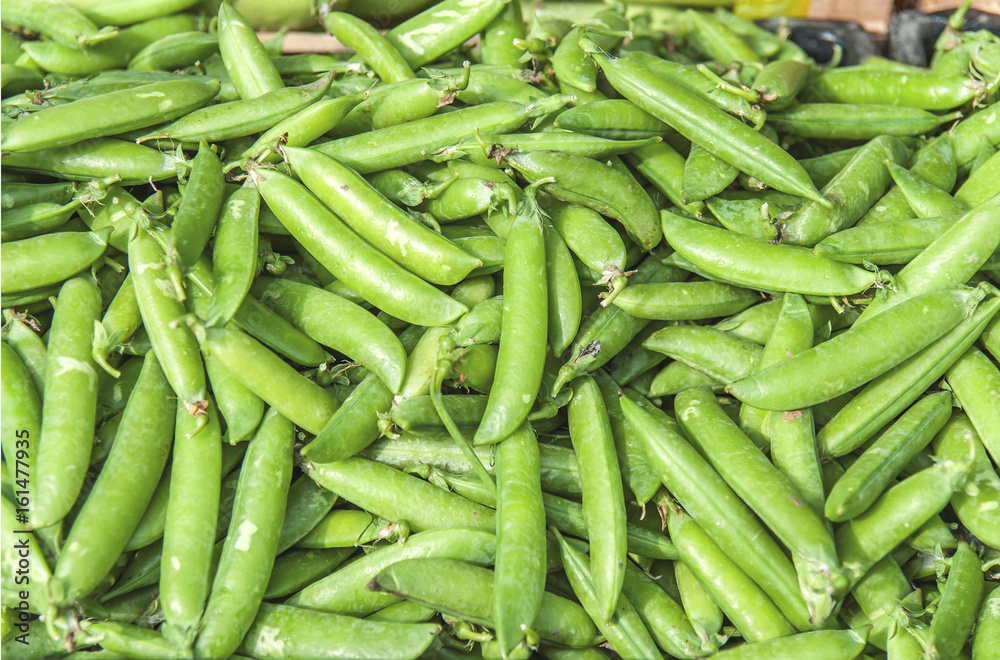 Fresh helathy green vegetabe bean on market ready fot selling Fresh helathy green vegetabe bean on market ready fot selling