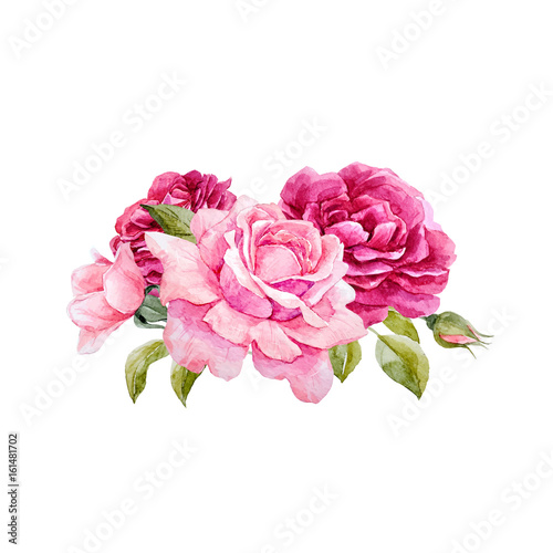 Watercolor vector roses composition