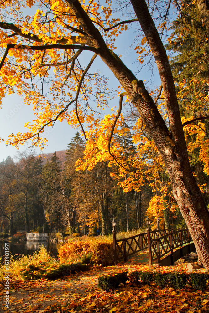 autumn in park with a lake in the spa RajeckÃ© Teplice, Slovakia, central Europe