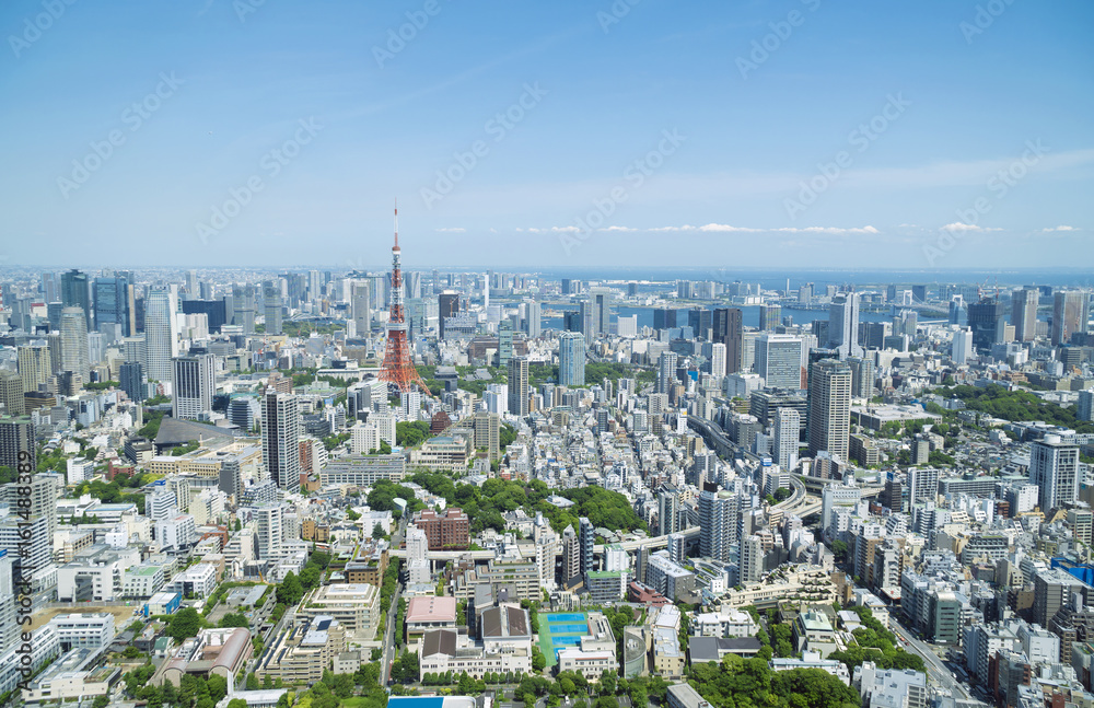 東京都市風景　東京タワー　六本木から望む都心全景　春　緑
