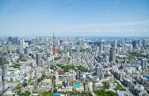 東京都市風景 東京タワー 六本木から望む都心全景 春 緑