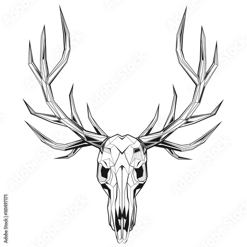 Skull of a deer stylized triangularly polygonal model
