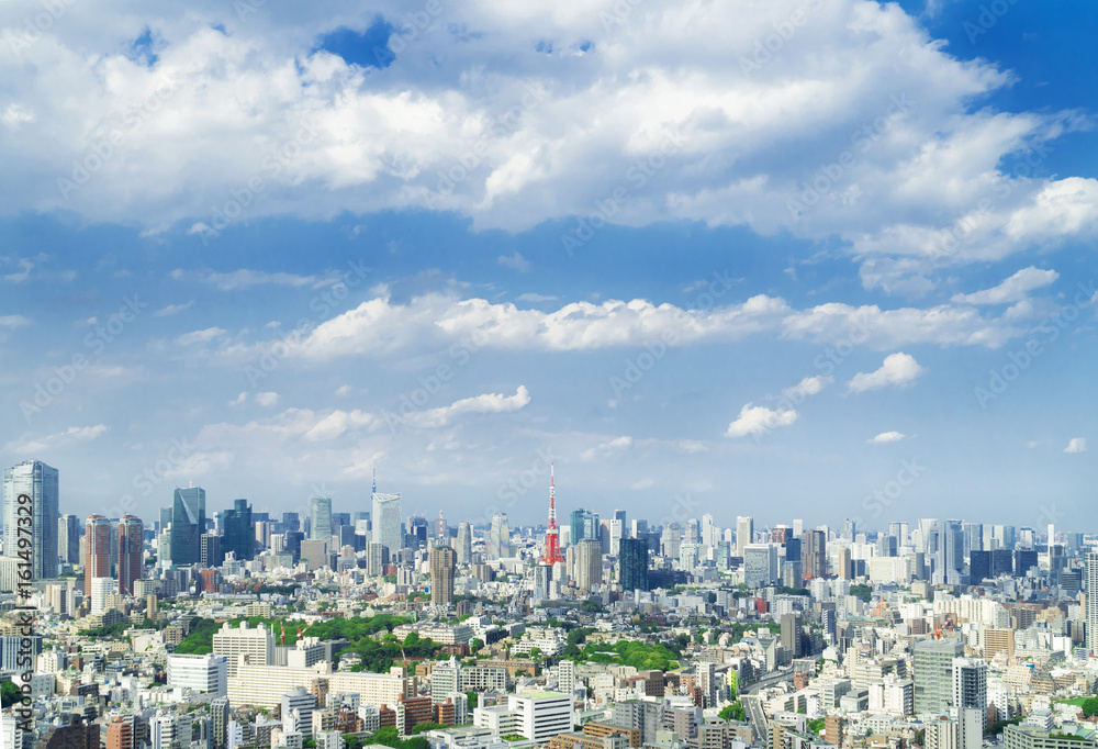 東京都市風景　東京タワー 恵比寿から望む都心全景　初夏　緑