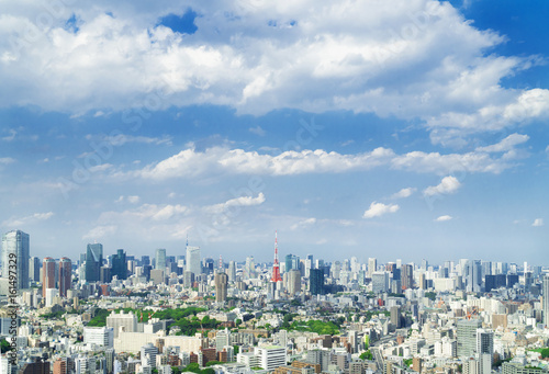 東京都市風景 東京タワー 恵比寿から望む都心全景 初夏 緑