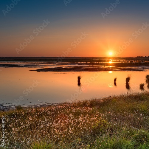 North German moor area photo