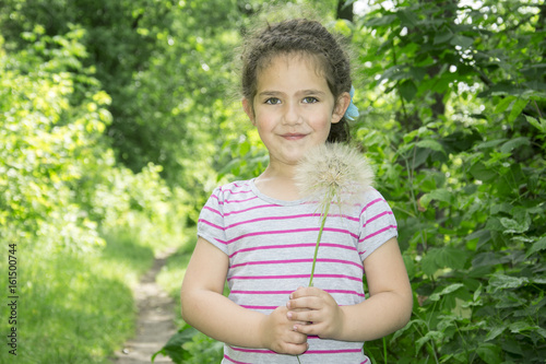 In the summer in the woods a little girl holds a big dandelion in her hands. © tsomka