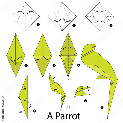 Vettoriale Stock Step by step instructions how to make origami A Parrot. |  Adobe Stock