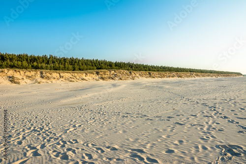 Empty beach with white sand near dune and pine forest  summer landscape over sea in Poland