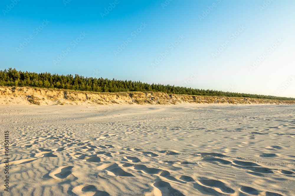 Fototapeta premium Empty beach with white sand near dune and pine forest, summer landscape over sea in Poland