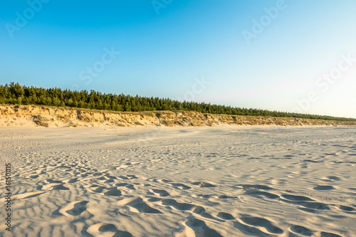 Empty beach with white sand near dune and pine forest, summer landscape over sea in Poland