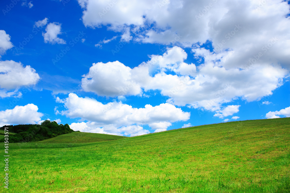 Field with green grass and blue sky with clouds. Field with green grass and blue sky with clouds.