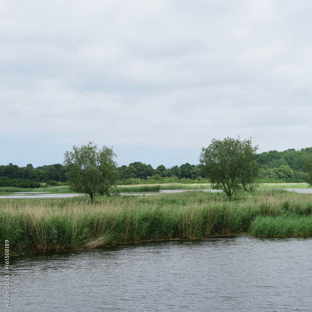 Germany, north germany, griffin forest, mecklenburg vorpommern, beautiful water landscape from the harbor to the district wieck, Germany, north germany, griffin forest, mecklenburg vorpommern, beautiful water landscape from the harbor to the district wieck,