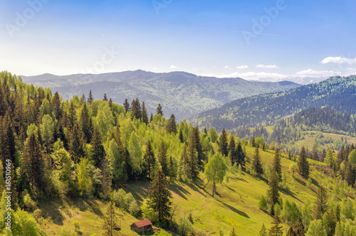 Mountain peaks, green forest, blue sky © Igor