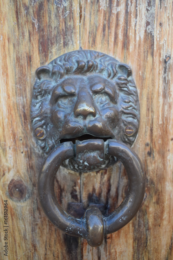 old lion door knocker