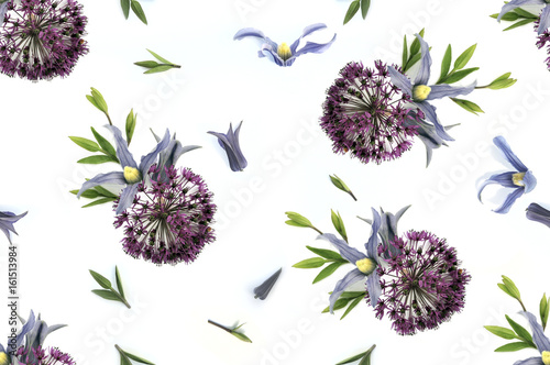 Floral seamless background with natural flower onion and clematis © mariko_s