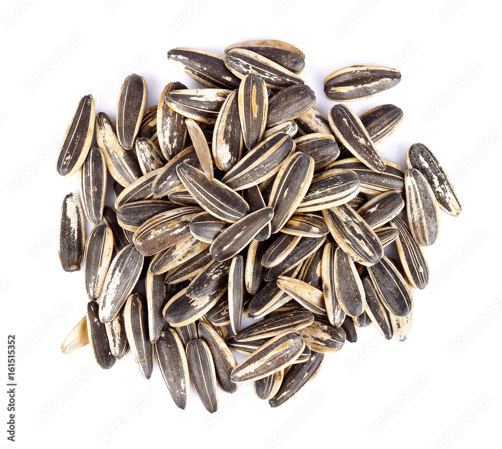 Sunflower seeds on white background