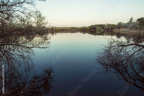 Evening view of the lake through the branches