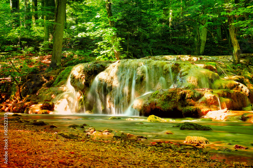 Mountain stream among the mossy stones