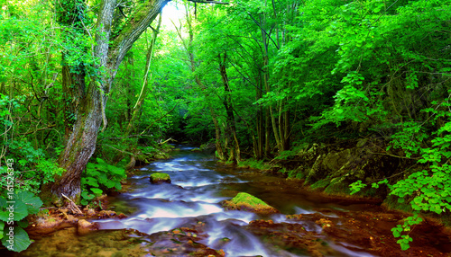 Fast mountain river flowing among mossy stones and boulders in green forest. Carpathians, © Željko Radojko
