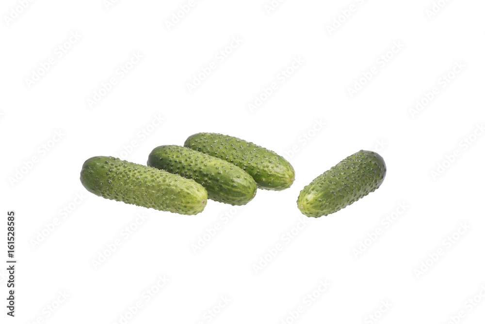 Fresh cucumbers. Fresh cucumbers.