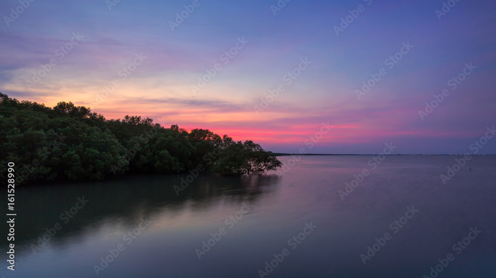 Mangrove forest on sea in Thailand Mangrove forest on sea in Thailand