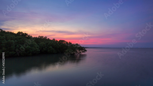 Mangrove forest on sea in Thailand