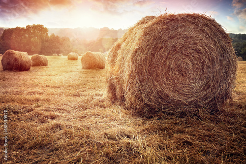Valokuva Hay bales harvesting in golden field at sunset