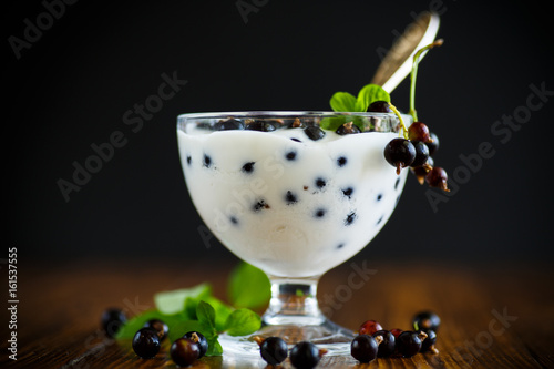 Sweet Greek yogurt with black currant berries