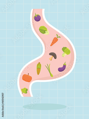 Vegetables in the stomach ector design ,healthy concept ,Vector illustration