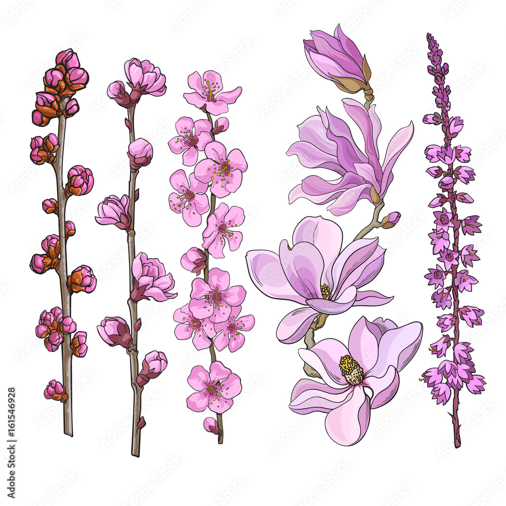 Naklejka premium Set of hand drawn pink flowers - magnolia, apple and cherry blossom, heather, sketch vector illustration isolated on white background. Realistic hand drawing of twigs branches stems with pink flowers