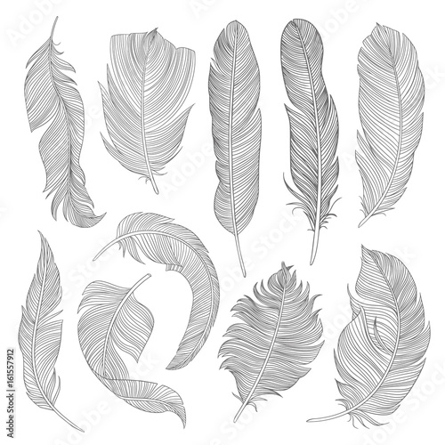 Hand-drawn feathers set. Cool sketch illustrations for your design. Eps10 vector. 