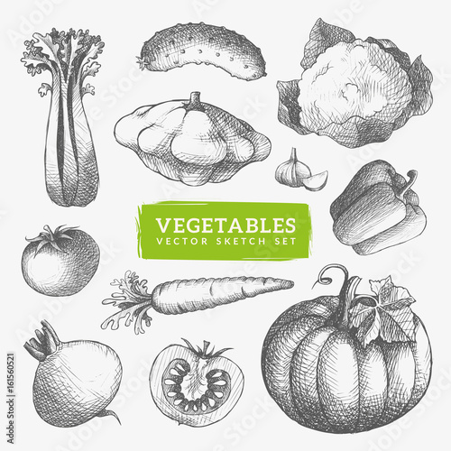 Vegetables sketch illustrations set. Cool hand-drawn icons. Eps10 vector.