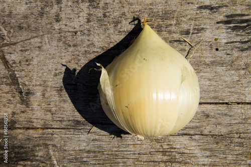 Rocambole on wooden table photo