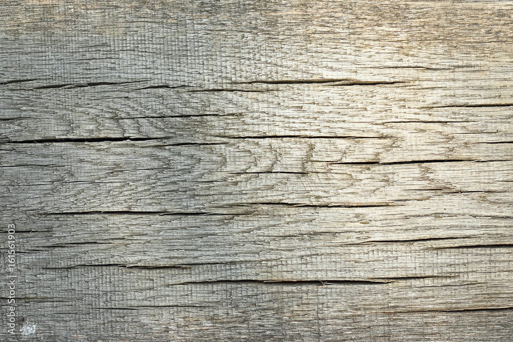 texture of cracked wood plank texture of cracked wood plank