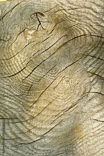 texture of wooden plank for your design