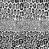 Abstract  background, vector with black and white